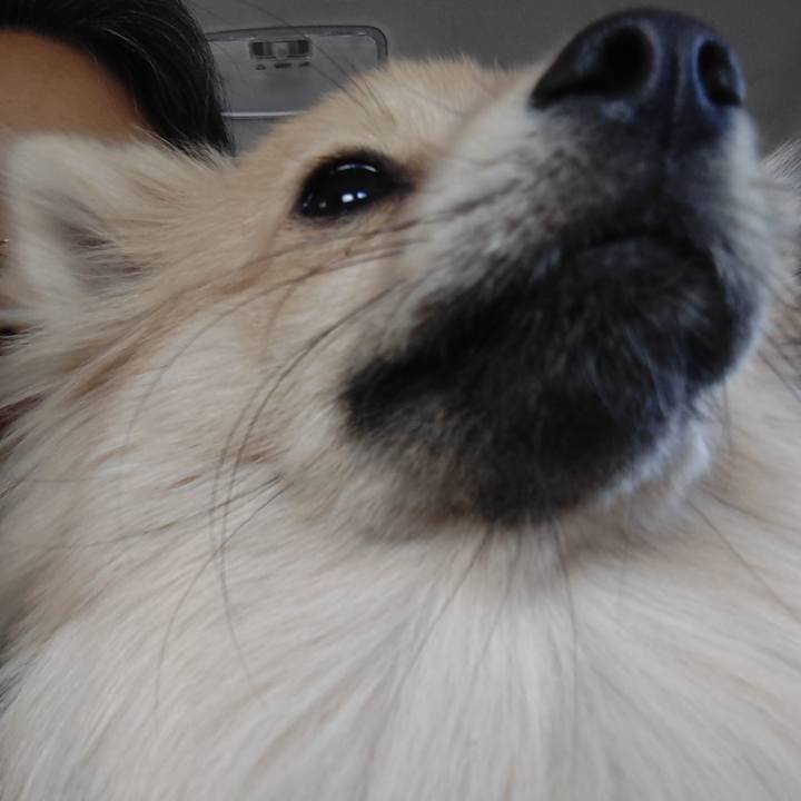 526666eb 7bb1 4451 803a 29161a61318b 1739872973174