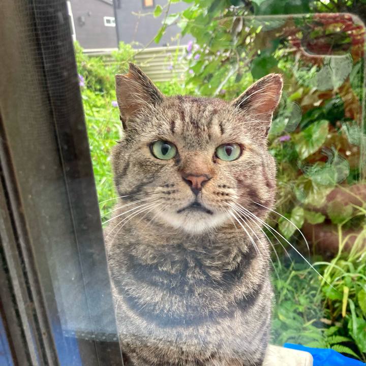 526667d6 1ca0 44d1 84c0 76fe47e9f0b9 1655948388559