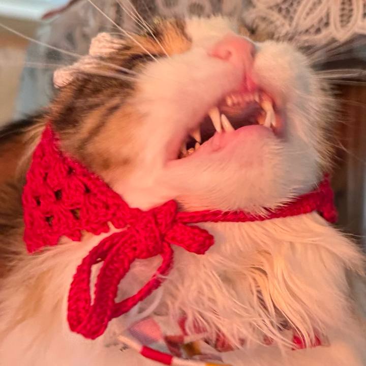 526674eb 6cc6 403c a737 5e81757a0483 1774412293012