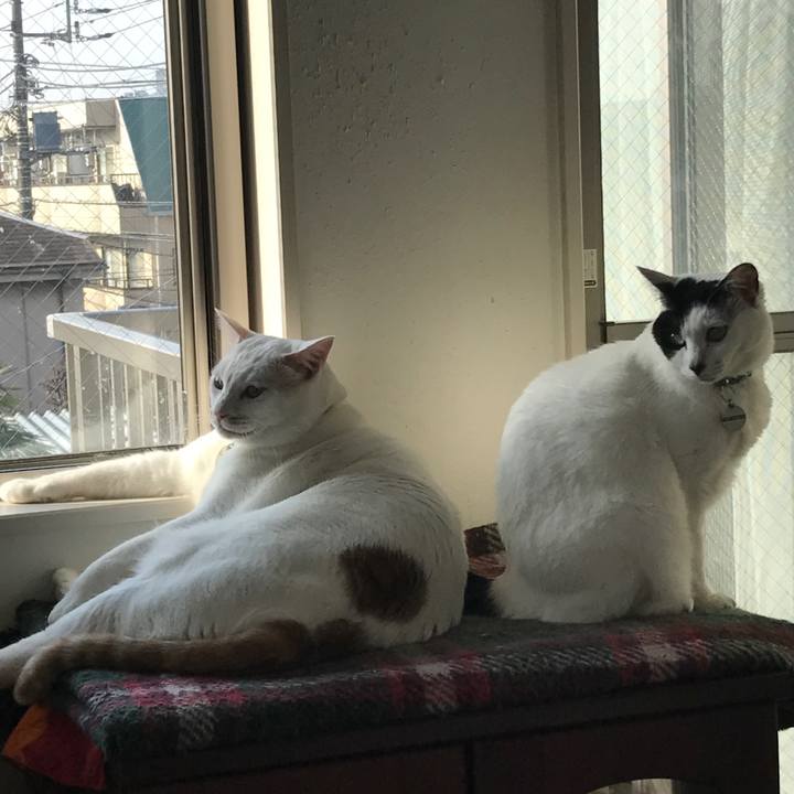 5266c714 094a 4b63 90cf d77a7ff5e7e6 1518530944112