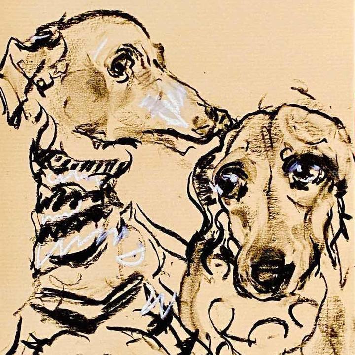 5266f656 c7b6 48a6 8e13 484359121815 1761019239797