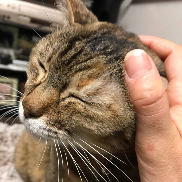 5266fcd8 ad17 4cf6 b3d5 16e934febfd3 1512510071176