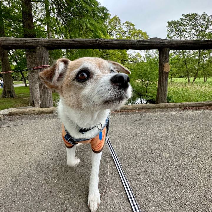 52670dec aea8 48cb b750 dfe9f4f6b428 1681464614929