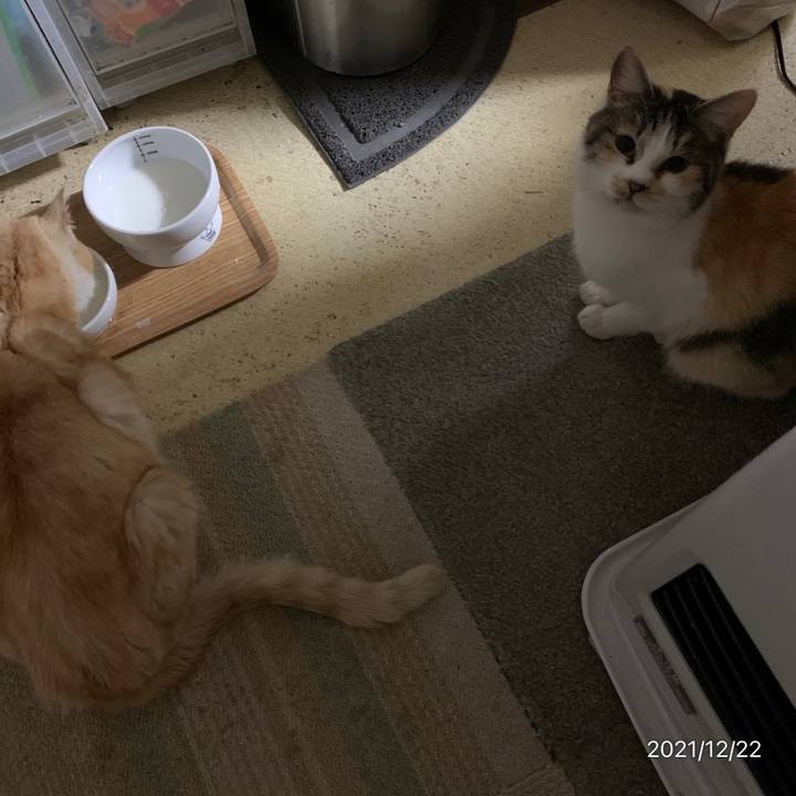 52671f6e 68b5 4b00 b174 39364f56f611 1640178580875