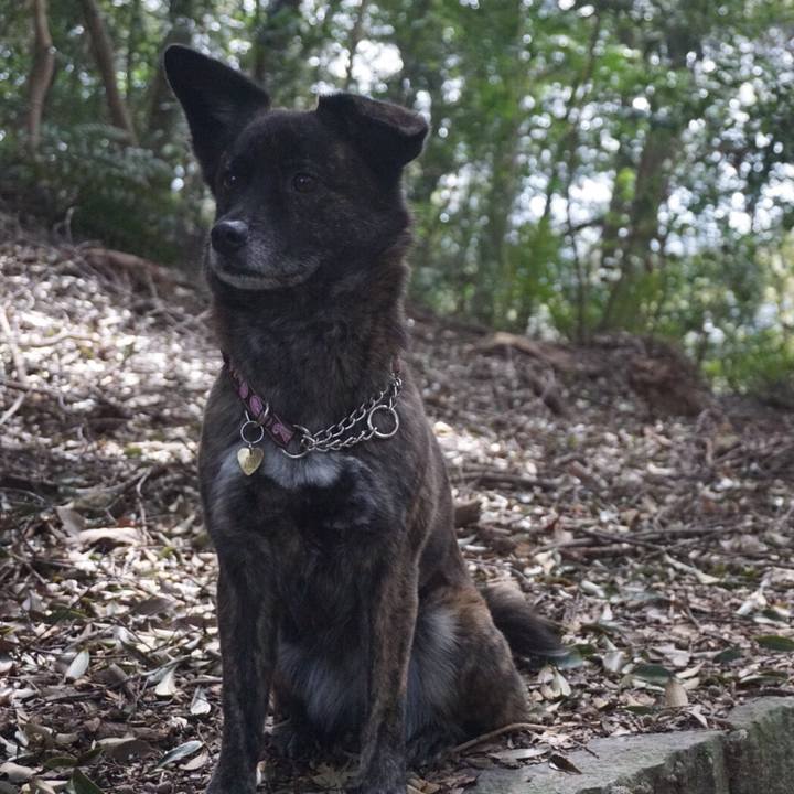 52672f80 cfa8 48de 8ddf 699fd3376e0d 1524874964356