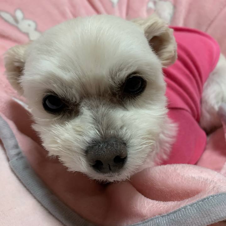 52672ffb 82cb 4ac5 8db9 848f802f0f6e 1608633816239