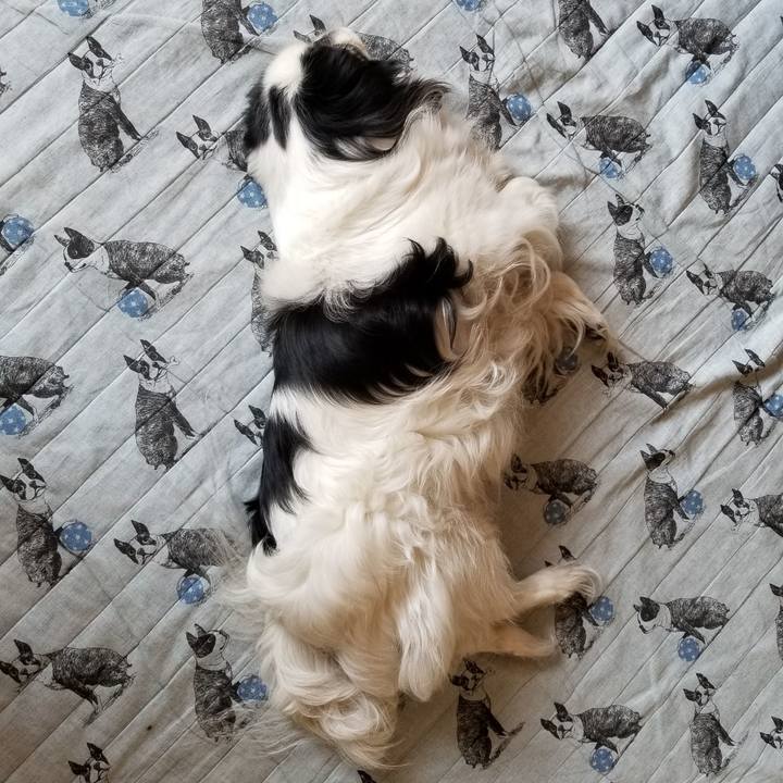 52674c9e e5a2 4a3a a6ac 2a142850117f 1528453995996