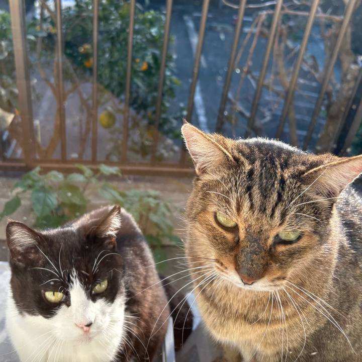 526754b4 048b 421e 8388 2ac10fb065e6 1763790814859