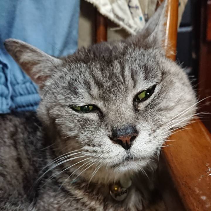 52675e96 5a26 459e 8dc3 94403aaf93f8 1565006277801