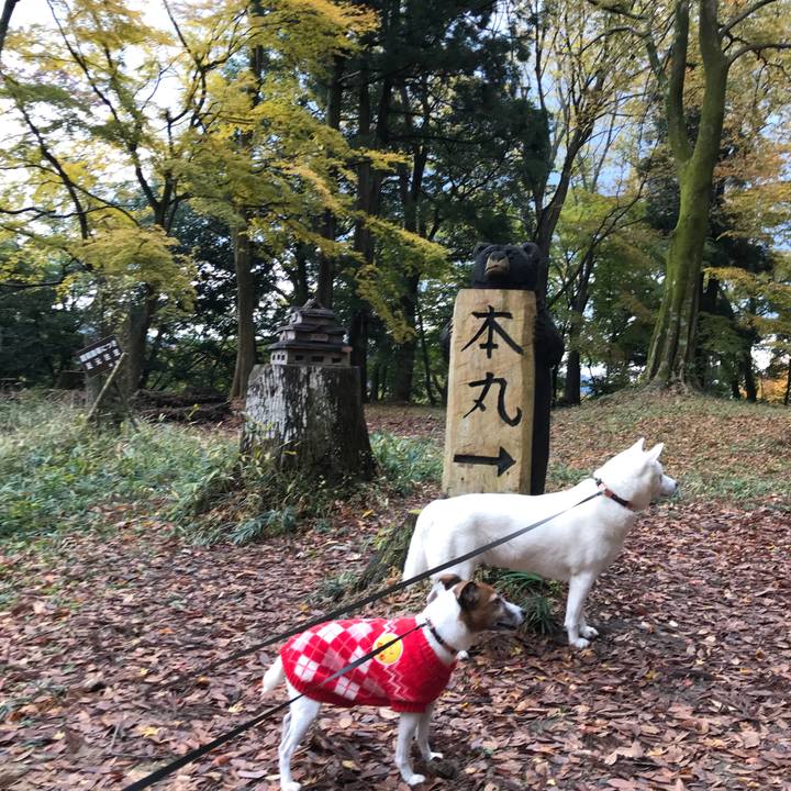 5267a892 8ec3 4a74 85e1 a3f2d890c557 1511082430736