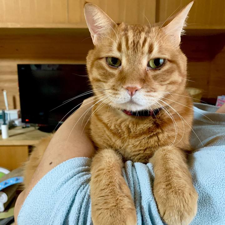 5267b693 fa9f 4b39 acd2 2e82c1ce6cb7 1577599551038