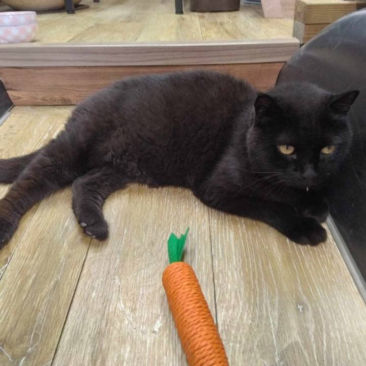 5267b797 23df 4b9f b5fe b8b48864947e 1726547963342