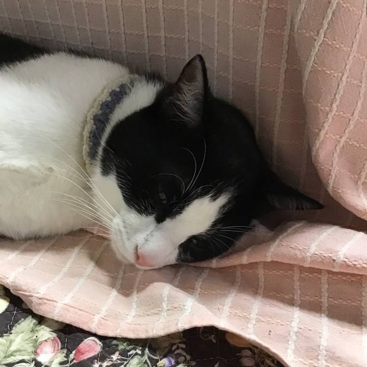 5267c3cf 1b30 43fd badd 856a3542efde 1655425906396