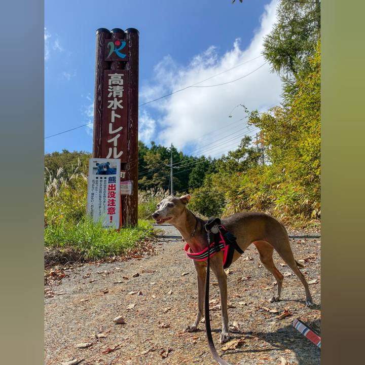 5267c5c5 ccc2 47f4 99d2 fe76e300d4b7 1761301795684