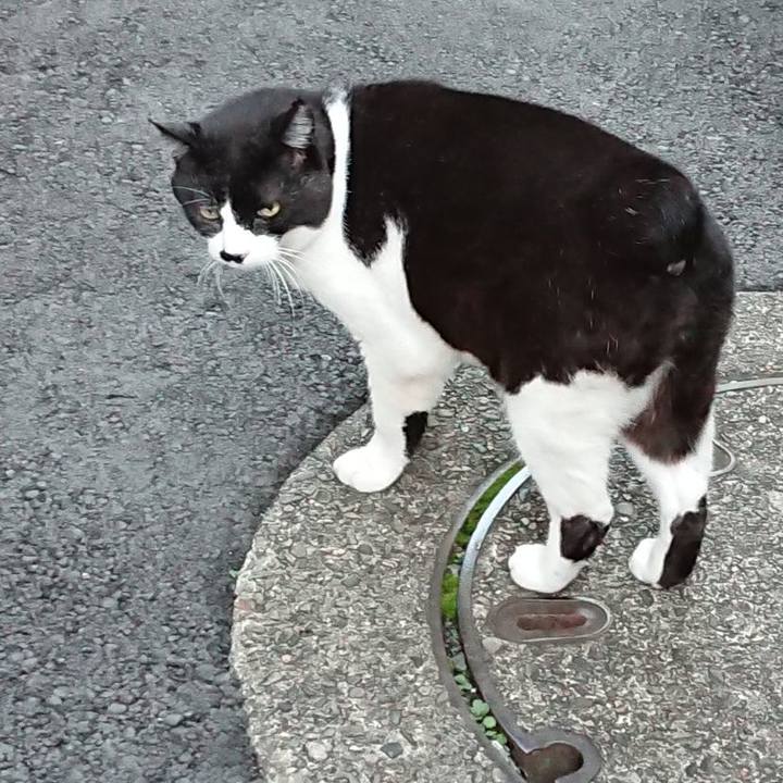 526814af 7759 4c0a ad6e 25812bb43528 1639218353673