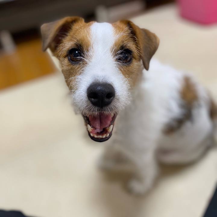 52681e1e 428e 4e5d 84eb 8f108ef837a2 1724761691231