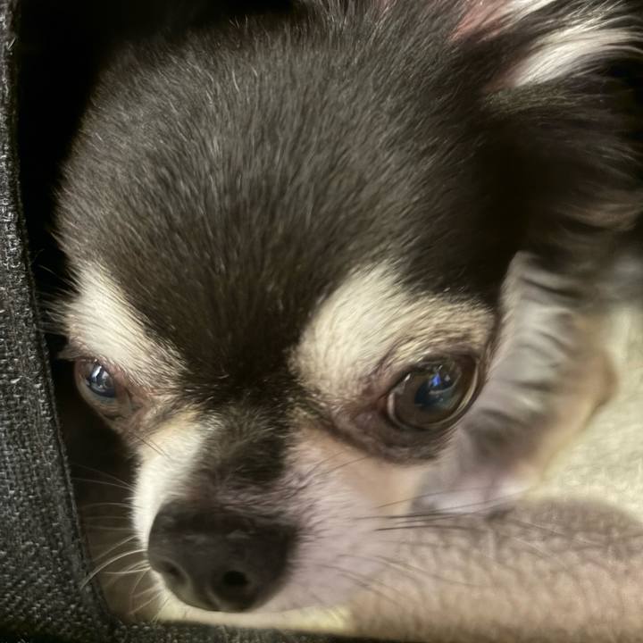 52685497 456d 43b5 b65a 174fed6425f8 1722181723061