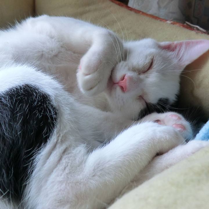 52688820 7880 4697 a1ab 612c75907b55 1564187981321