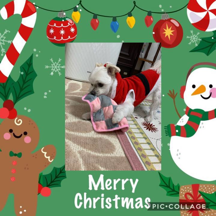 5268970f 9931 47c5 8188 c551d69efcb6 1608801215237