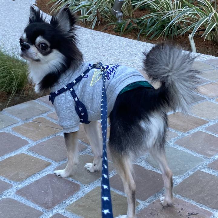 5268a753 71ce 436c a58e 72e682eec3fa 1640842217349