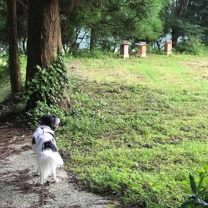 5268b401 5cb7 4464 9c93 df76a9d78c2b 1533645955061