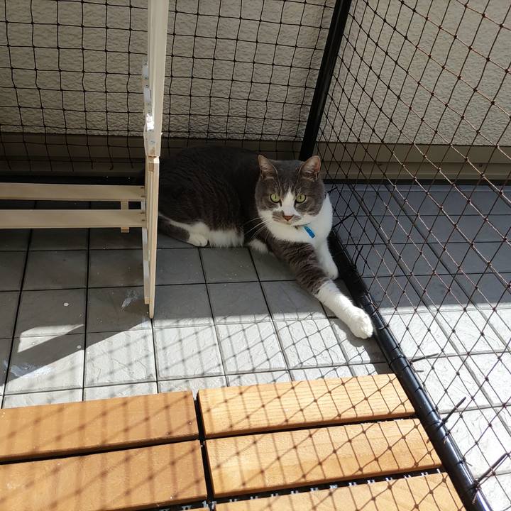 5268b589 3982 4ae2 9256 2ff362840464 1715669309475