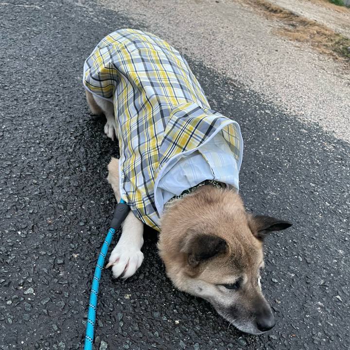 5268bbc5 af2e 4f3a b63c ee6e489e9c6d 1674477630287