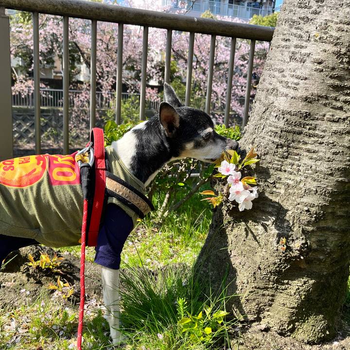 52695ca5 ef4f 48b9 a4e5 d3995c45e02c 1649470297687