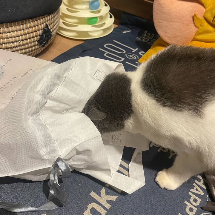 52697710 d933 4cdd 9b29 42f75bfb78e3 1734783966082