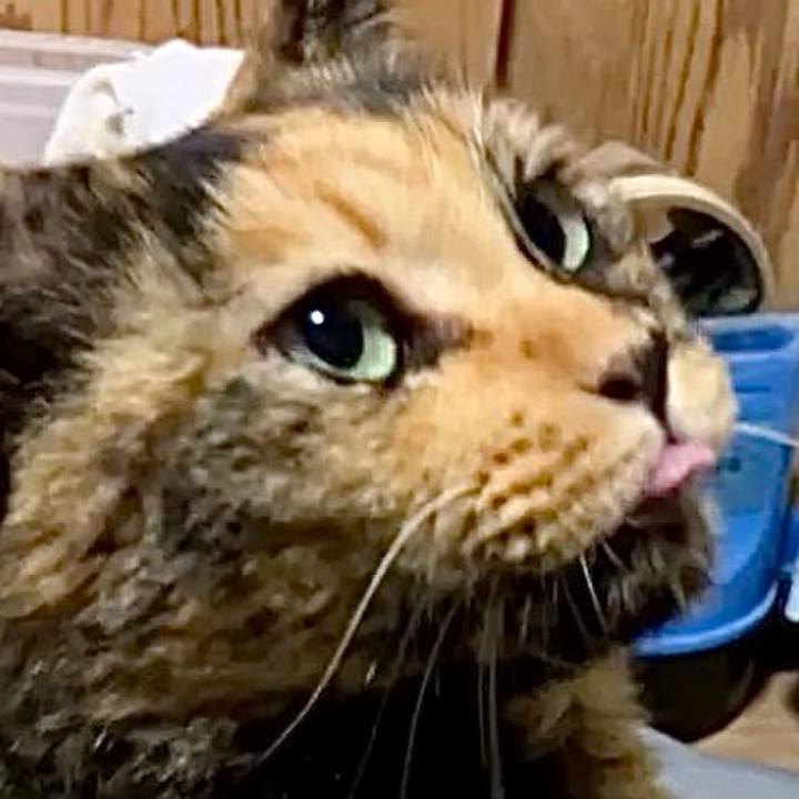 526989c4 b7a2 4be1 9eb9 c75612da579f 1729627205411