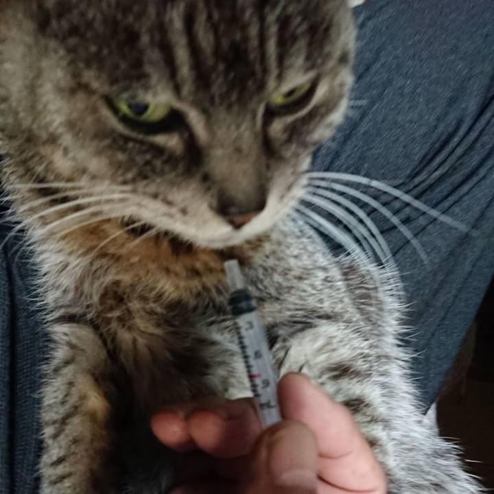 52698d3e dd6d 4b27 a42a babd0910e916 1581890430860