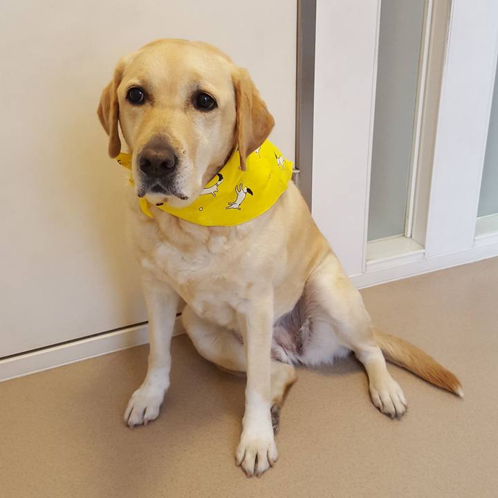 52698e41 e9fa 447b a559 ceac8f1aae20 1547349413517