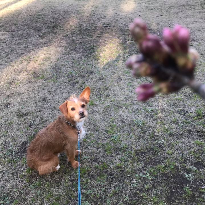 526997e9 3a6f 4371 8dc5 f63e669fae7b 1584351652508