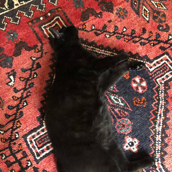 5269f62e d7c7 4ec7 9bc8 e9129957251c 1559083134276