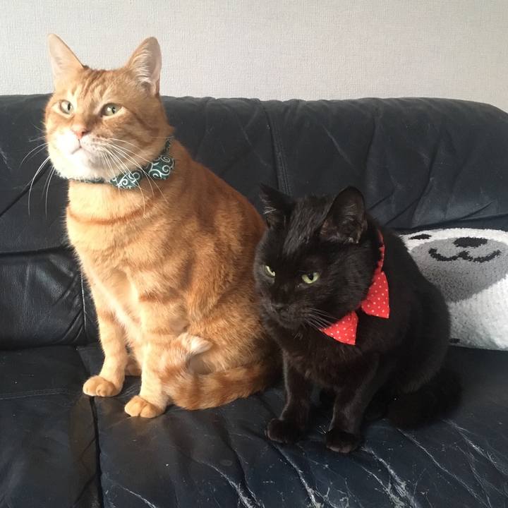 526a206b c64e 4199 ac7f 4dacb451d2ac 1550613411540