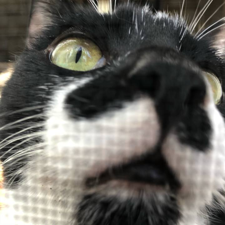 526a811f 66b4 48f5 a9c9 69b2d88bc78e 1538794952586