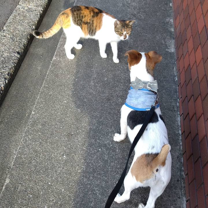 526a9f05 2ddf 4b46 900e 2ff8b8905b2e 1757639448945