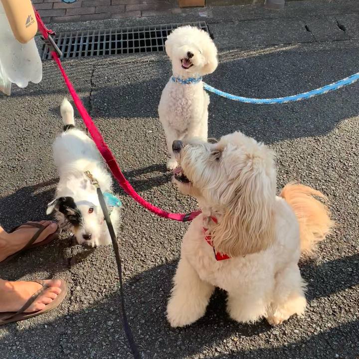 526aa0f1 d24b 4559 a432 fd0cffd9f10f 1754692766968