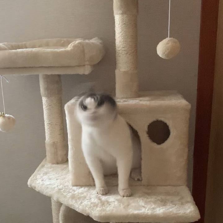 526aa254 af9d 48fa b5de 4d24b755acde 1577098350694