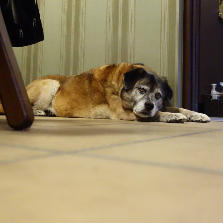 526ac141 49d9 46f6 b2a1 f464dd5316e8 1558263122922