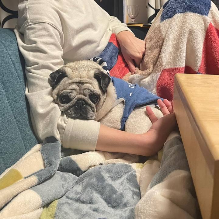 526b1caf 9ad3 40ca a996 ce71ea85b572 1762419910702