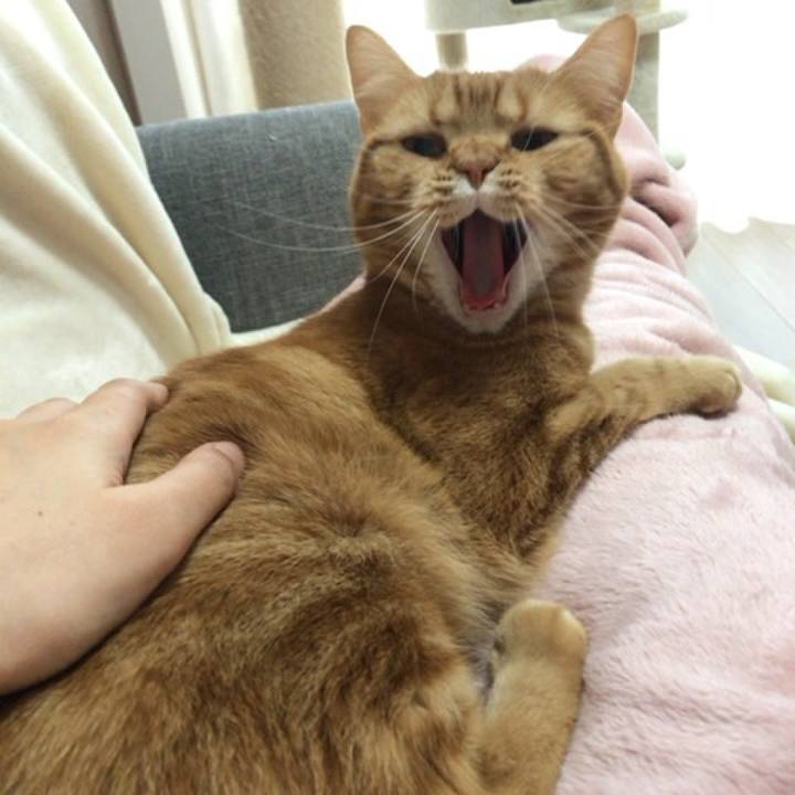 526bd75f 45e5 435a bde8 dc739ea438ca 1548718297294