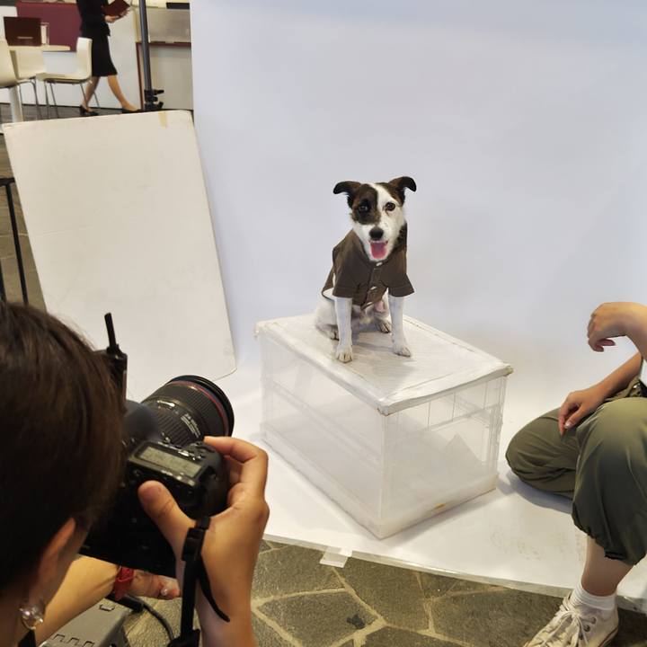 526bfc33 69c0 40ce 86d2 323ee031ad21 1721451377900