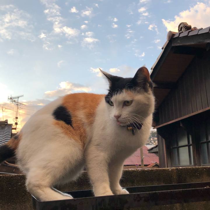 526bffa4 ac3c 4d65 920d 649ae363a408 1635977182267