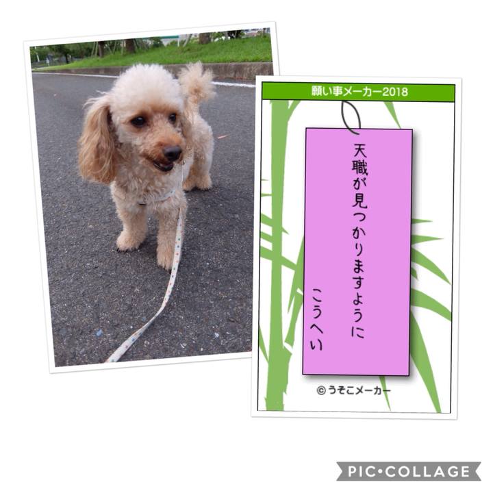 526c2ea2 cbf1 4df4 8e5a 9c1168c700a8 1530968886322