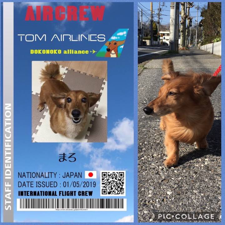 526c38c5 986b 421c 9db3 25a22888d368 1556802547266