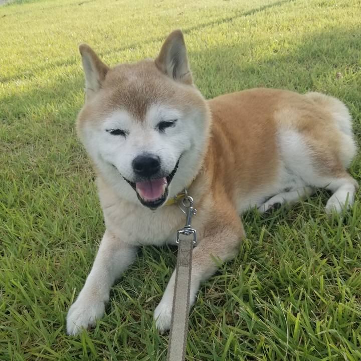 526c513a 77b7 4fee 9b0b e3e81360476b 1693121694403