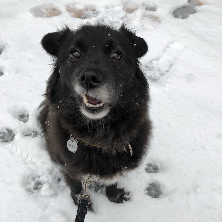 526c7278 51a8 44a1 88ea 28f643ddff75 1517546669387