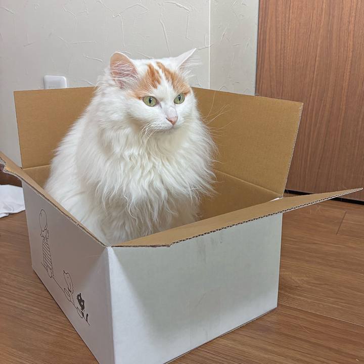 526c7310 e552 42f8 8954 99bd742f0450 1775354800405