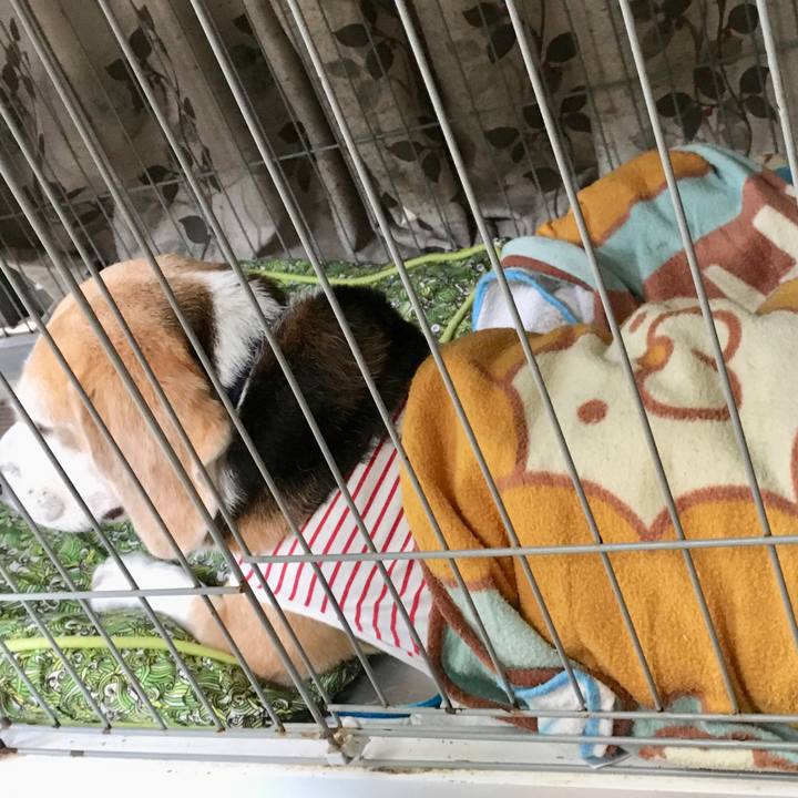 526c835a 2b6b 4447 9b83 759648b48d0d 1537503206151